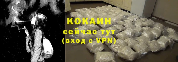 PSILOCYBIN Горно-Алтайск