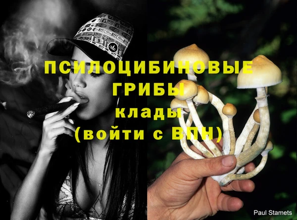 дурь Горнозаводск