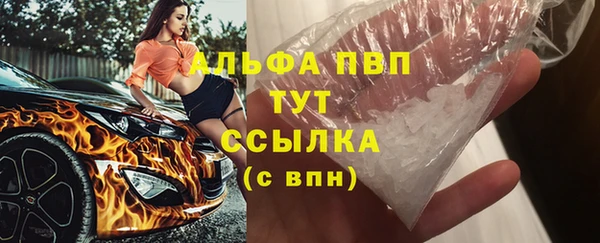 PSILOCYBIN Горно-Алтайск