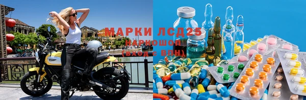 PSILOCYBIN Горно-Алтайск