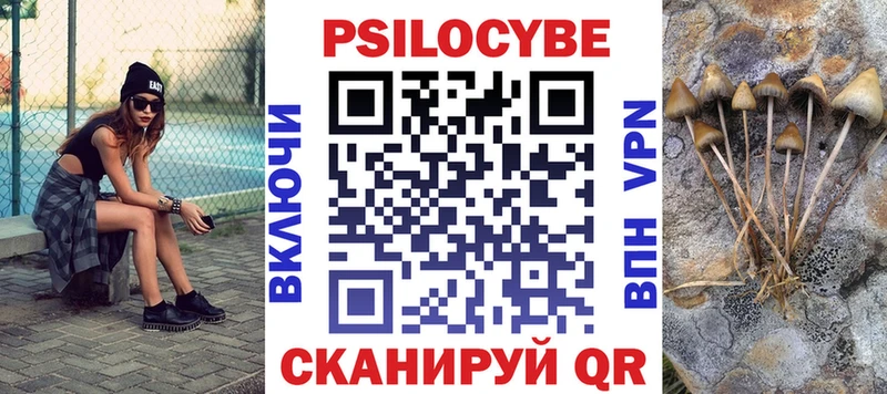 Купить  Никольское  Галлюциногенные грибы MAGIC MUSHROOMS 